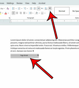 how to remove page breaks in Microsoft Word for Office 365