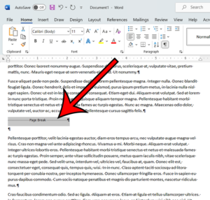 how to delete a blank page in microsoft word